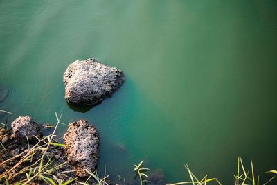 High angle view of rocks in sea