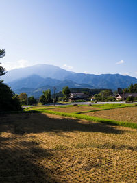 Scenic view of field against sky