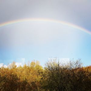 Rainbow over field against sky