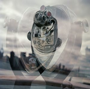 Close-up of plant against blurred background