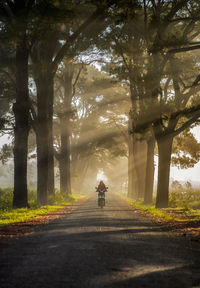 Woman riding motorcycle on road amidst trees