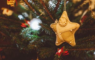 Close-up of star shape decoration on christmas tree