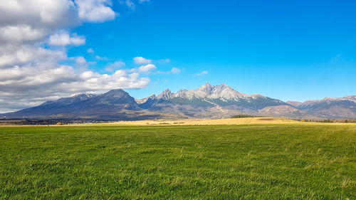 Scenic view of field against sky