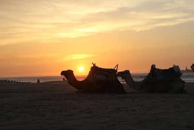 Scenic view of beach against sky during sunset