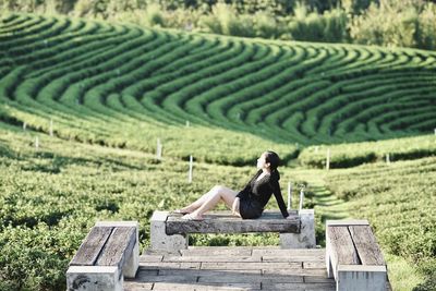 Man sitting on agricultural field