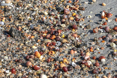 High angle view of stones on beach