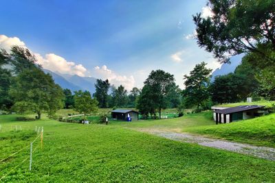 Scenic view of trees and plants on field against sky