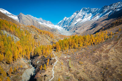 Mountain fire in autumn. a journey through the lark forests at an altitude of 2000m.