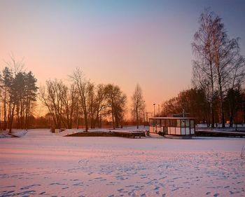 Bare trees on snow covered landscape