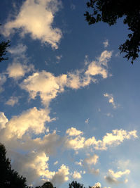 Low angle view of trees against cloudy sky