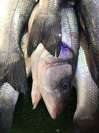 Close-up of fish for sale in market