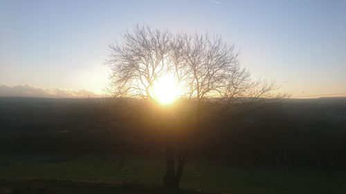 Silhouette of grass against sky during sunset