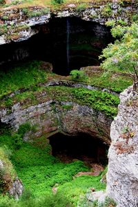 Scenic view of waterfall