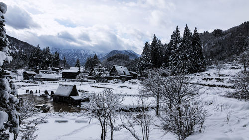 Trees on snow covered landscape against sky