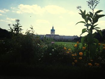 architecture