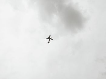 Low angle view of airplane flying in sky