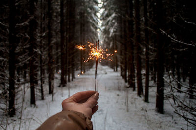 Cropped hand of woman holding lit sparkler in forest during winter