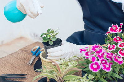 Midsection of person holding flower pot