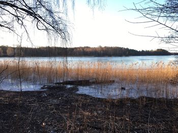 Scenic view of lake during winter