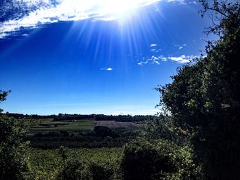 Scenic view of grassy field against sky