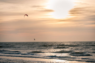 Kite surfer in winter at sunset on the north sea at the wadden island of texel