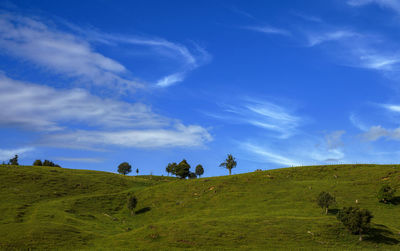 Scenic view of landscape against blue sky