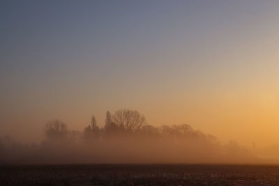 Scenic view of tree against sky during sunset