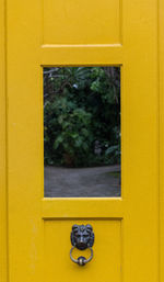 Yellow window