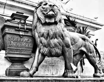 Low angle view of lion statue