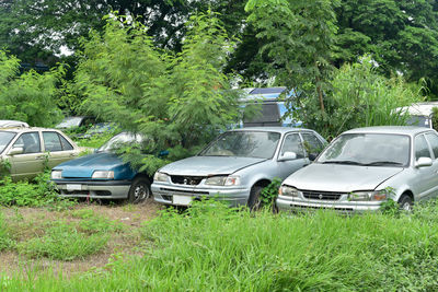 View of car on field