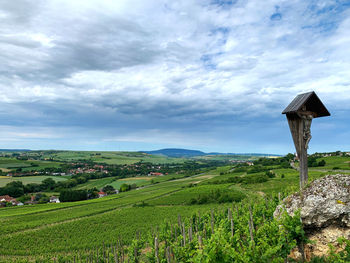 Scenic view of farm against sky