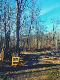 Empty chairs against bare trees on landscape