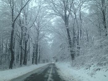 Snow covered road amidst bare trees during winter