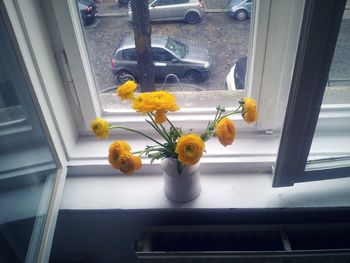 Close-up of yellow flowers