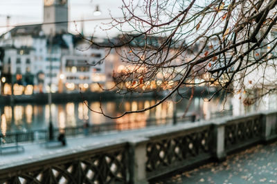 Close-up of bare tree by river in city