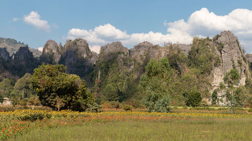 Panoramic shot of trees on field against sky