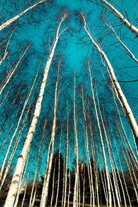 Low angle view of icicles against blue sky