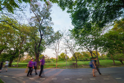 People walking on road amidst trees