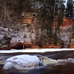 Stream flowing through rocks in forest