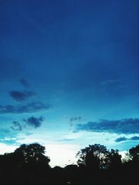 Low angle view of silhouette trees against sky