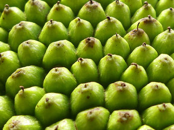 Full frame shot of apples