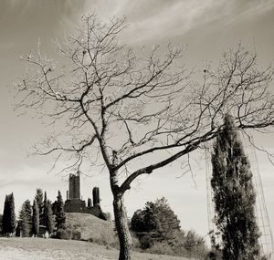 Bare trees on landscape against sky