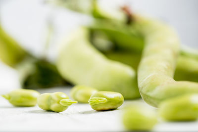 Close-up of green leaves