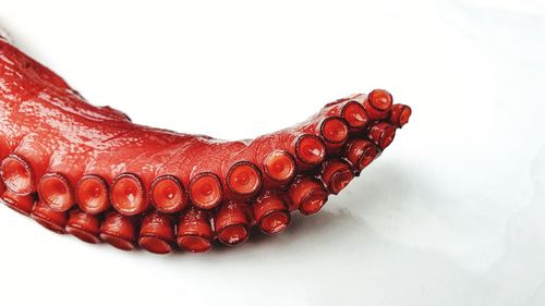 Close-up of strawberry over white background