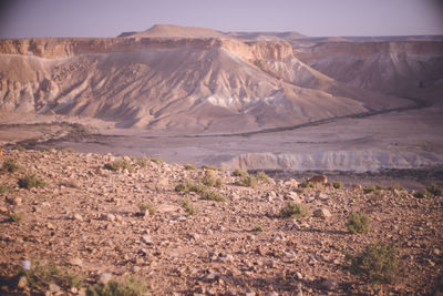 Majestic natural scenery of sde boker, a kibbutz city in the negev desert in southern israel.