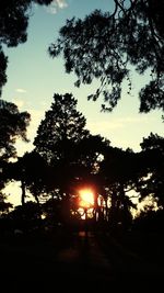 Silhouette trees against sky during sunset