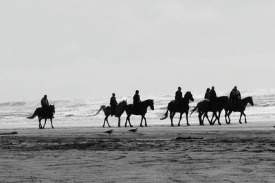 People riding horses at beach against sky