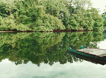 Reflection of trees in lake