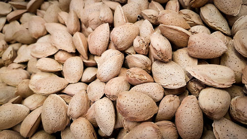 Closeup shot of raw almonds in the shell