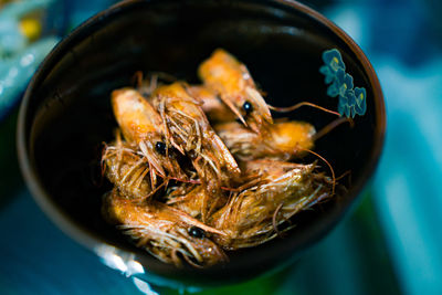 High angle view of fish in container